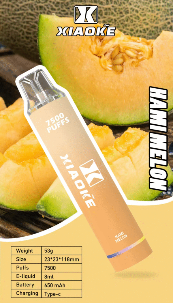 梟客抛棄式7500口 ✨可充電🔋限時活動 滿7送1💖女生首選.